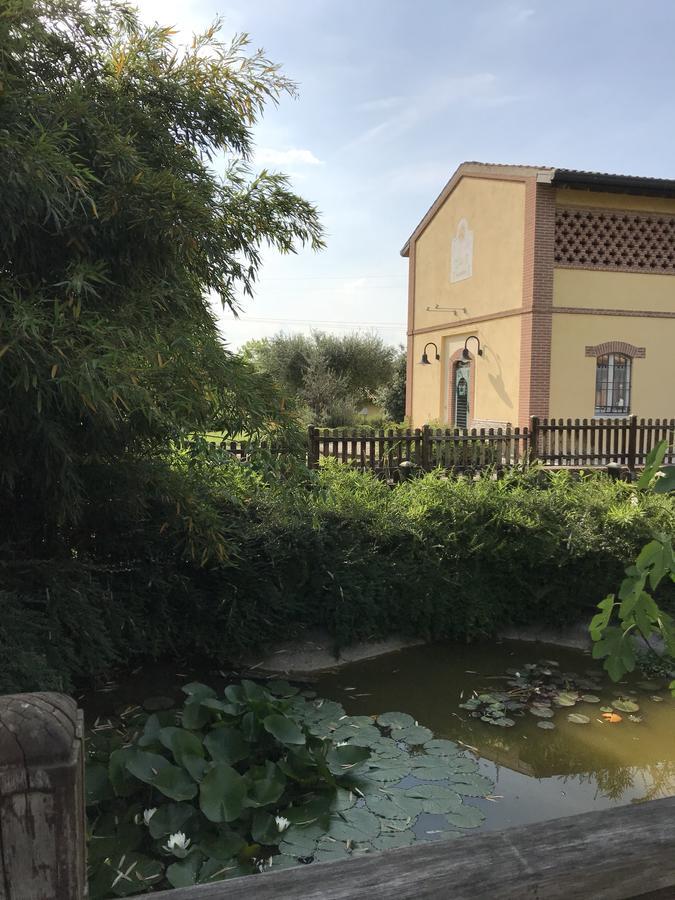 Agriturismo Corte Salandini 호텔 폰티술민치오 외부 사진